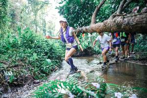 BIB: 
                            <button type="button" onclick="openModal(25455249)" class="btn btn-primary btn-sm float-right btn-popup" data-toggle="modal" data-target=".modal-high-quality">
                        <i class="fas fa-shopping-cart"></i> Add to Cart
                    </button>
                                            <button type="button" onclick="isThisMe(25455249, true)" class="btn btn-success btn-sm float-right btn-popup btn-isme hidden" data-toggle="tooltip" data-placement="bottom" title="นี่คือรูปของคุณใช่ไหม คลิกที่นี่เพื่อเอาเข้าอัลบั้ม">
                        <i class="fas fa-plus"></i> Add to album
                    </button>
                    <button type="button" onclick="isThisMe(25455249, false)" class="btn btn-warning btn-sm float-right btn-popup btn-isnotme hidden">
                        <i class="fas fa-ban"></i> Remove from album
                    </button>